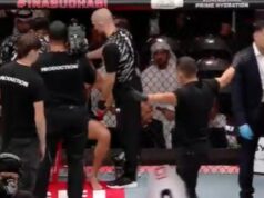 UFC, jeziva povreda, Stiven Nojen, Muhamed Jahju profimedia0621092768.jpg