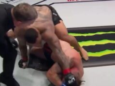 OLIMPIJSKI ŠAMPION DEBITOVAO U MMA, I TO KAKO: Za 98 sekundi unakazio protivnika! Sudija morao da prekine borbu (FOTO) profimedia0625453546.jpg
