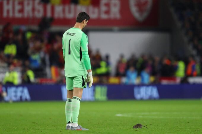 Zelenortska Ostrva, slavlje navijača