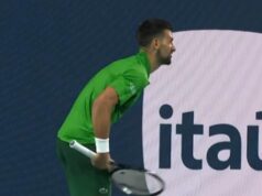 SERENA GLEDA U NEVERICI, A NOVAK POKAZUJE SVOJE NOGE! Srbin osvojio najluđi poen na meču pa napravio šou na terenu! SERENA GLEDA U NEVERICI, A NOVAK POKAZUJE SVOJE NOGE! Srbin osvojio najluđi poen na meču pa napravio šou na terenu!