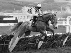 TUGA DO NEBA: Mladi džokej preminuo pet dana pre rođendana nakon teškog pada na trci 68x4Aq98