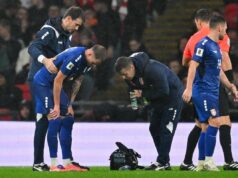 Ivan Ilić povredio ligament kolena na meču protiv Engleske Filip Kostić na meču Engleska - Srbija