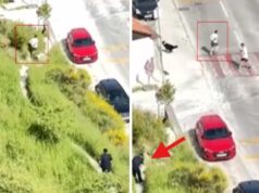 ŠOK SCENA U HRVATSKOJ – TRČAO SPLITOM VEZAN LISICAMA! Policajac jurio huligana, umorio se, pa odustao! Snimak urnebesne potere u komšiluku zapalio mreže! FOTO beL0ND7e