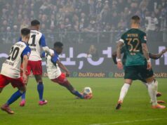 DOMAĆIN SLAVIO U GOLEADI: Hamburg pobedio Verder u Bundesligi dlvvV2Gl