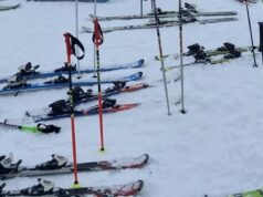 OTKRIVAMO: Kako i kada prepoznati talenat deteta za sport? Ovo zanima sve roditelje RJza5pwl