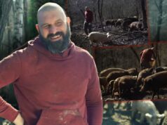 NIKOLA PODELIO PRIJATELJIMA 2.000.000 EVRA I OTIŠAO U ŠUMU! Svet u potpunoj neverici, a tek obrazloženje: Ne zanimaju me pare, hoću da budem ČOBAN Jelena Karleuša