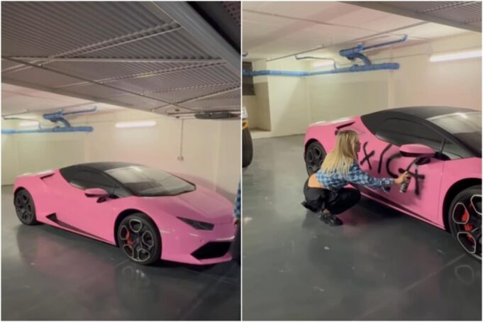Vanda1.jpg
