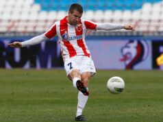 Miloš Čava Dimitrijević o svom ocu Zoranu, Crvenoj zvezdi, Dejanu Milovanoviću milos-dimitrijevic-alesandro-del-pjero-sidnej-fudbal.jpg