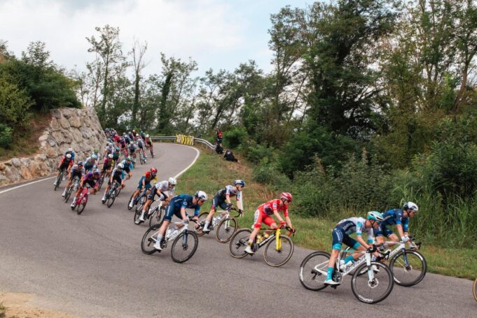 kurirnajnovijavestnovo