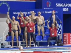 CRNA GORA SLAVILA PRED SRBIJU: Tim Dejana Savića srušio Holandiju! france-serbia-578928.JPG