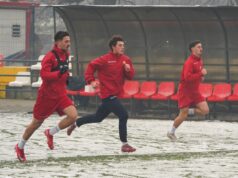 ŠUBERT, HAJDIN I ZLIČIĆ PREKOBROJNI: Napredak objavio transfer listu profimedia-1032972584.jpg