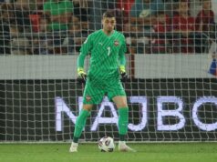 Đorđe Petrović pred Letoniju | SportArena.rs serbia-andorra-277826.JPG