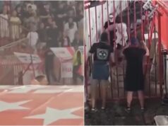 SRPSKI NAVIJAČI USRED UTAKMICE OTELI ZASTAVU ENGLEZA! Ovaj trenutak je svima promakao, a oni su objavili snimak akcije Dragan Stojković Piksi na meču Srbija - Engleska