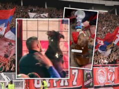 NESVAKIDAŠNJA SCENA NA MARAKANII! Pas ukrao šou navijačima Crvene zvezde, ovaj ljubimac je glavna tema na internetu Vlade Đurović