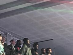 KOŠARKAŠI ZVEZDE BODRE VATERPOLISTE: Dobra poznata lica u Areni navijaju za Srbiju! GREECE-HUNGARY_05.JPG