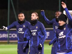 MILAN DOVEO REPREZENTATIVCA FRANCUSKE: Stiže iz Premijer lige u transferu vrednom 36.000.000 evra! profimedia-1014042535.jpg