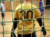 Evropska elita školskog futsala u Republici Srpskoj: Prijem povodom početka EP Evropska elita školskog futsala u Republici Srpskoj: Prijem povodom početka EP