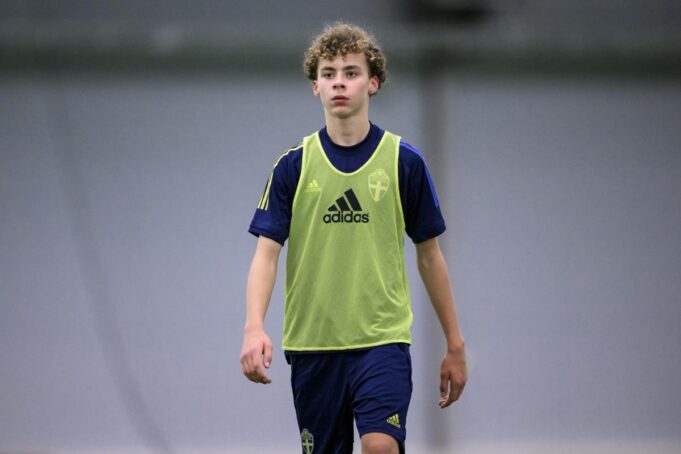 Zlatan Ibrahimović i Siniša Mihajlović