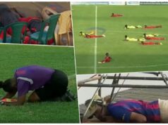 Roj pčela napao fudbalere | SportArena.rs dileta.jpg