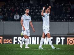 Tomaš Hendel dolazi u Zvezdu Vladan Milojević