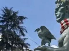 „Pobednik viđen kako ide ka Marakani“: Delije „ukrale“ simbol Beograda, na originalan način zovu na stadion "Pobednik viđen kako ide ka Marakani": Delije "ukrale" simbol Beograda, na originalan način zovu na stadion