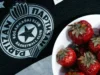 Evo šta je stajalo na stolici Edina Avdića u Beogradskoj areni, Partizan postavio sliku i crtež njegovog sina Evo šta je stajalo na stolici Edina Avdića u Beogradskoj areni, Partizan postavio sliku i crtež njegovog sina