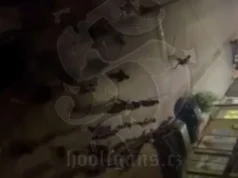 Delije s motkama okružile Grobara samog, on krenuo na njih mačetama: Horor snimak sa ulica Beograda Delije s motkama okružile Grobara samog, on krenuo na njih mačetama: Horor snimak sa ulica Beograda