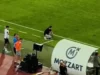 Ovo niste videli u TV prenosu! Pogledajte reakciju Alberta Rijere posle gola Zvezde Ovo niste videli u TV prenosu! Pogledajte reakciju Alberta Rijere posle gola Zvezde